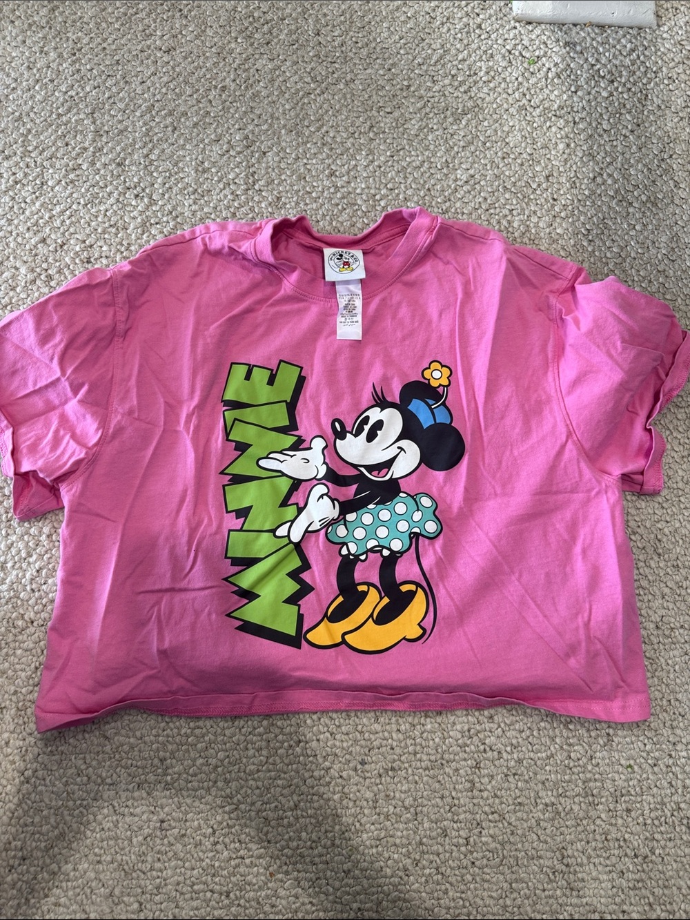 Disney Pink Minnie Mouse Crop Top